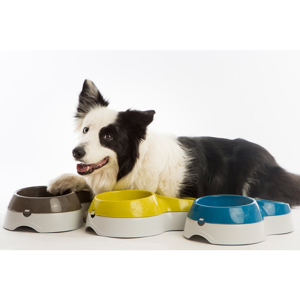 Miska na krmivo pre domáce zvieratá Bama s nádržkou na vodu 33x20x9 cm rôzne farby