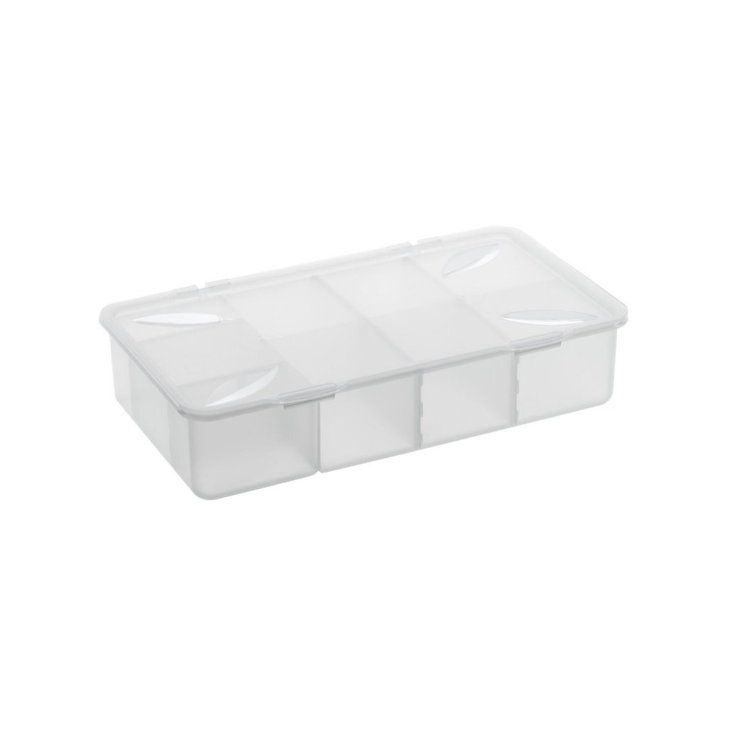 Rotho Snappy Box 3L priehľadný