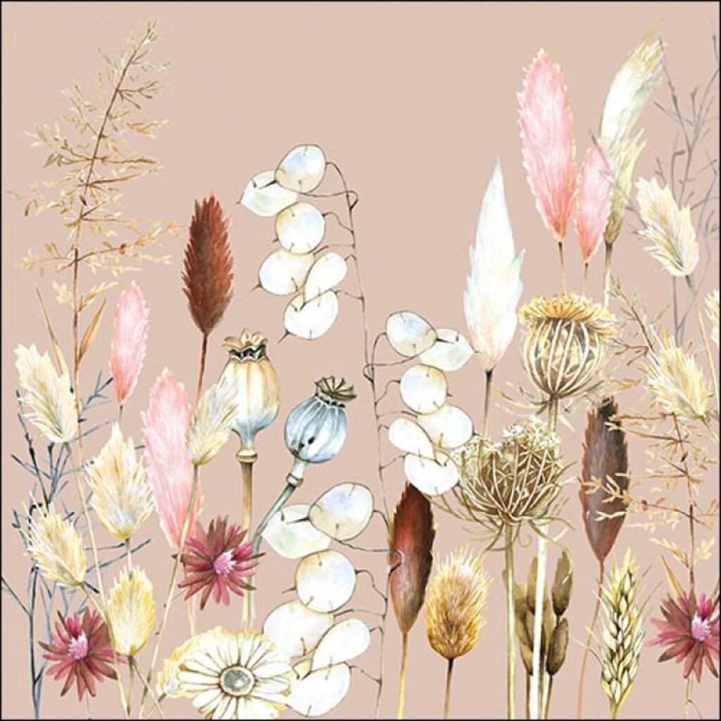 Ambiente obrúsky 25x25cm Potpourri 20 kusov