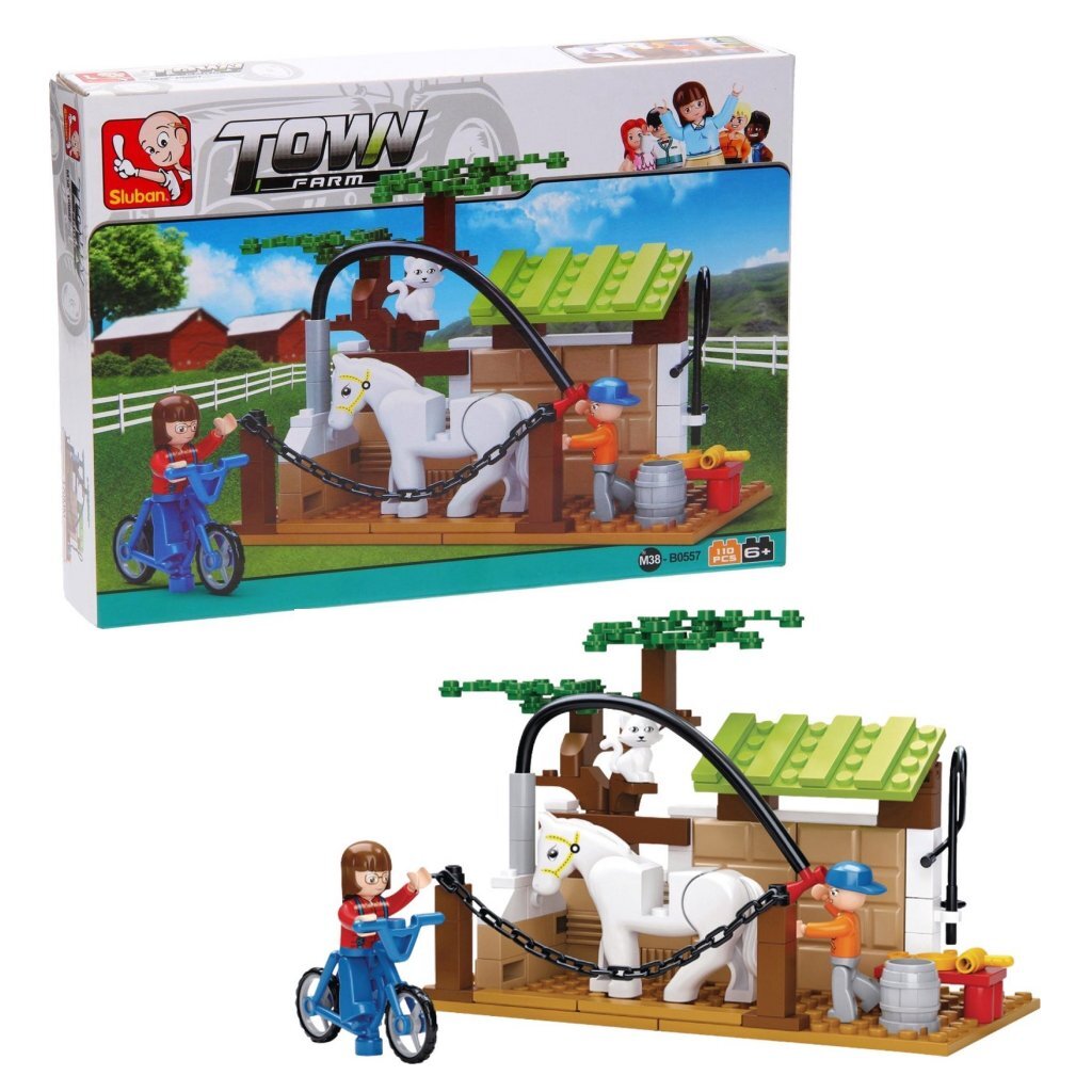 Pranie koní v meste Sluban