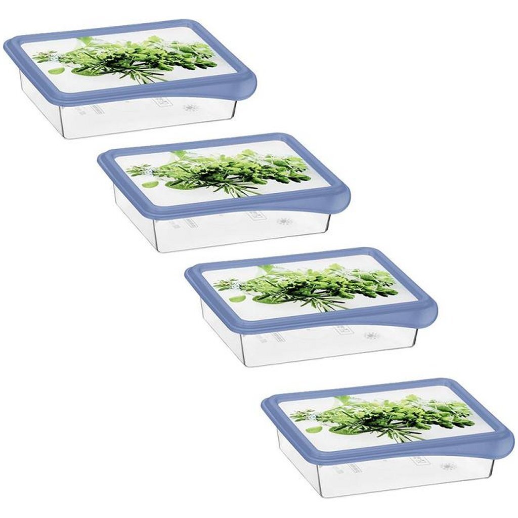 Rotho RONDO Mraziace nádoby na čerstvé bylinky 4x0,2 l Horizon modrá/priehľadná