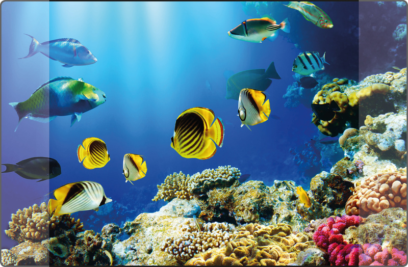 Kangaro K-0014D115 Podložka na stôl PP 38x58cm Dizajn akvária