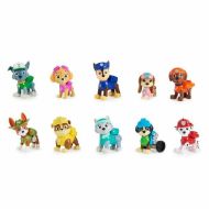 Playset The Paw Patrol 6065255 10 Kusy