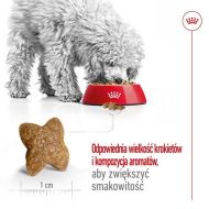 Krmivo Royal Canin Adult Mini S Vtáky 8 kg