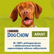 Krmivo Purina Dog Chow Adult Lamb Baránok