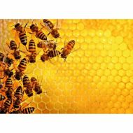 Puzzle Ravensburger Challenge 17362 Beehive 1000 Kusy