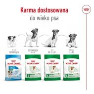 Krmivo Royal Canin Adult Mini S Vtáky 4 Kg