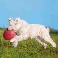 Výkladný stojan Frisbee Trixie Modrá Oranžová Guma Prírodná guma