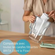 Filter do filtračného džbánu Brita Maxtra Pro All-in-1 (2 kusov)