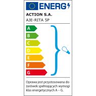 Stropné svetlo Activejet Rita Kov Sklo 40 W 230 V