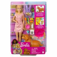 Bábika Barbie HCK75