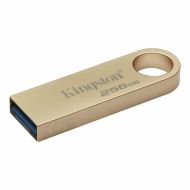 USB flash disk Kingston DTSE9G3/256GB Zlato 256 GB (1 kusov)