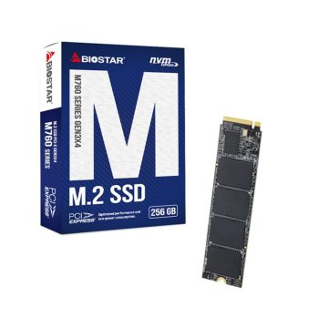 Pevný disk Biostar M760 256 GB SSD