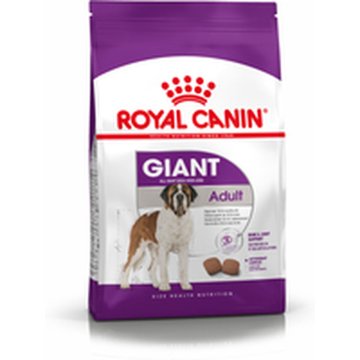 Krmivo Royal Canin Giant Adult Dospelý Kurča Vtáky 15 kg