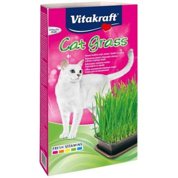 Snack for Cats Vitakraft Cat Grass