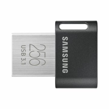 USB flash disk Samsung MUF-256AB/APC Striebristý 256 GB