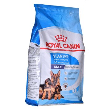 Krmivo Royal Canin Maxi Starter Mother & Babydo Vtáky 4 Kg