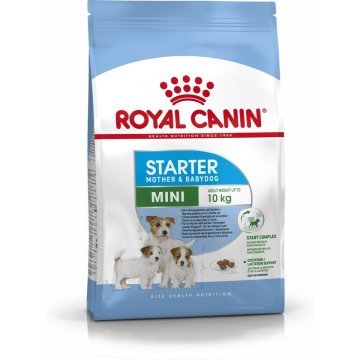 Krmivo Royal Canin Starter Mother And Babydog Dospelý Kurča Vtáky 1 kg