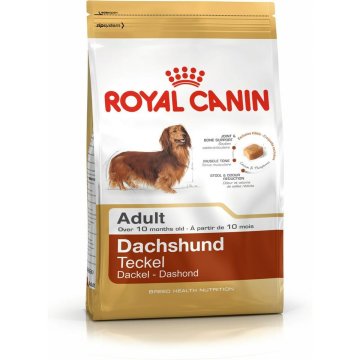 Krmivo Royal Canin Dachshund Adult Dospelý Kurča Ryža Vtáky 1,5 Kg