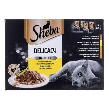 Krmivo pre mačky Sheba Delicacy in Jelly Kurča Páv Kačica Vtáky 100 g