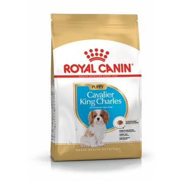 Krmivo Royal Canin Cavalier King Charles Spaniel Puppy Šteňa/junior Vtáky 1,5 Kg