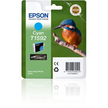 Originálne atramentové náplne Epson Stylus Photo R2000 Modrá Azúrová