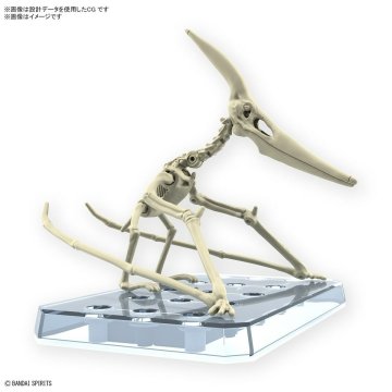 Pohyblivé figúrky Bandai PTERANODON